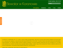 Tablet Screenshot of elewator.com.pl